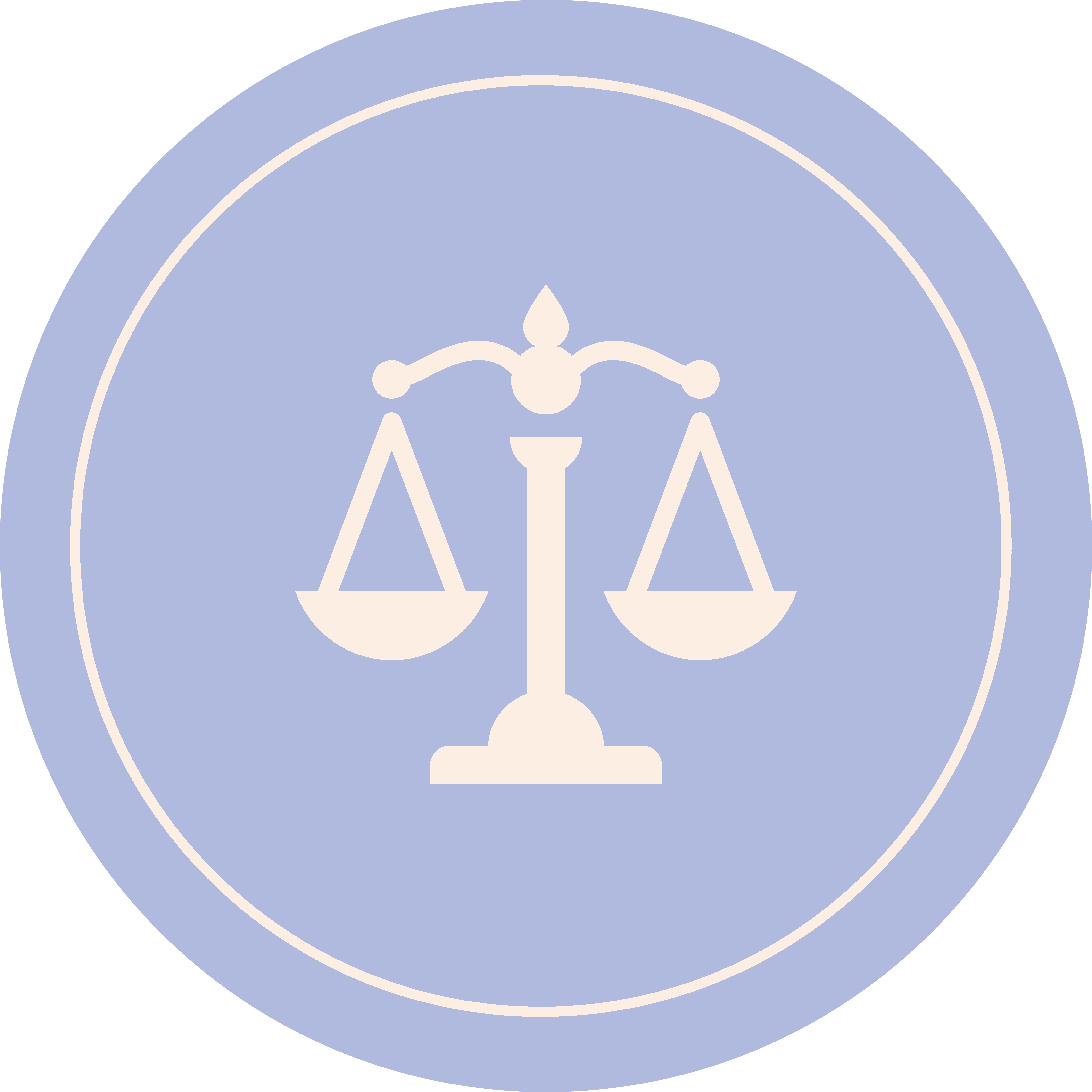 CONOCE TUS DERECHOS icon